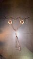 collier de chasse