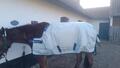 couverture BUCAS TURNOUT POWER 300gr