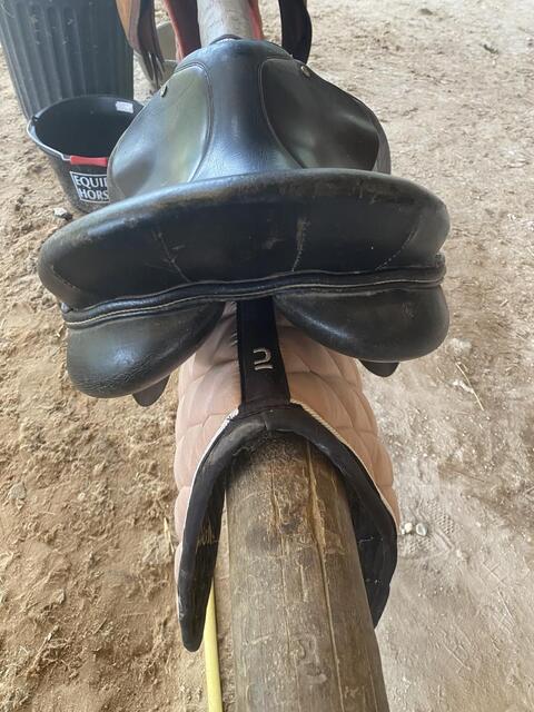 Lot de 3 selles