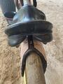 Lot de 3 selles