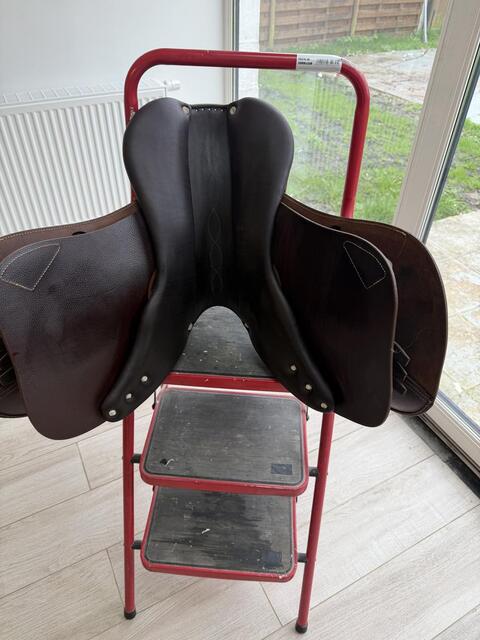 Selle antares connexion 2022