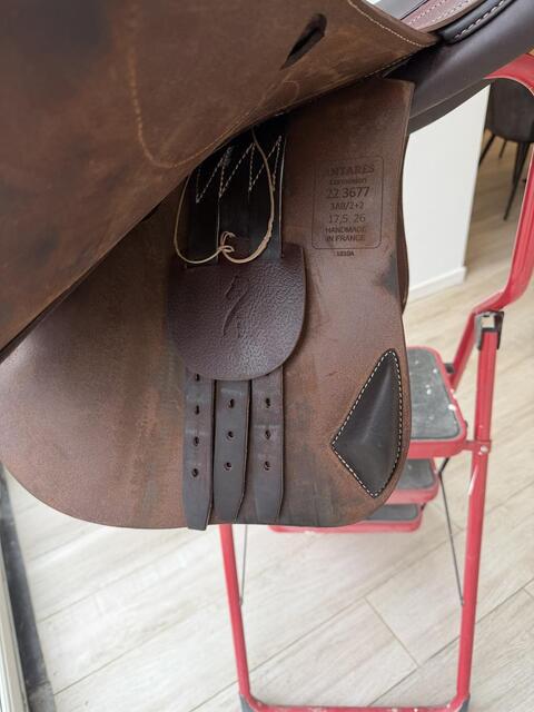 Selle antares connexion 2022