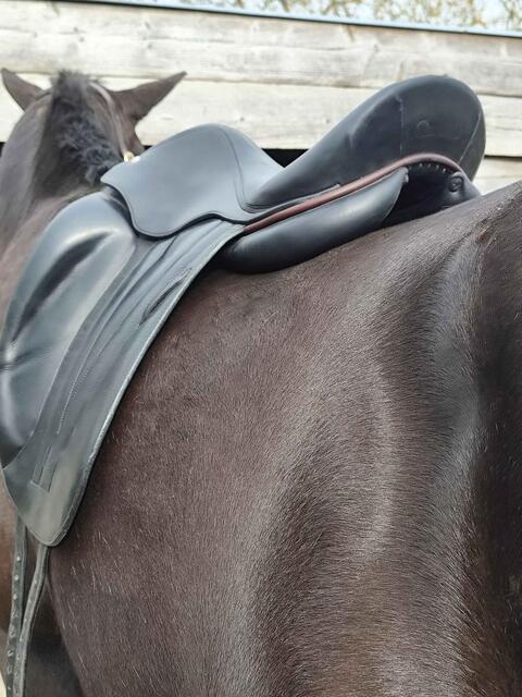 Selle dressage Butet Saumur 17 pouces