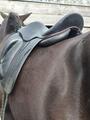 Selle dressage Butet Saumur 17 pouces