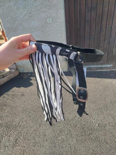 Franges à mouches