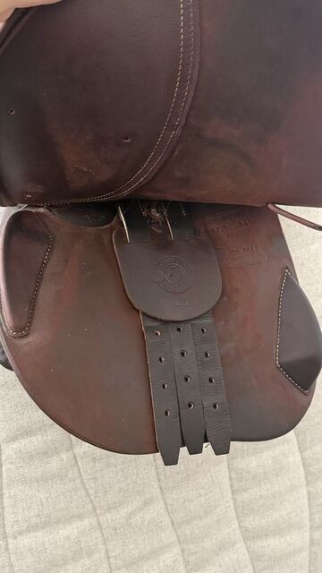SELLE ANTARES SIGNATURE 2023 17,5