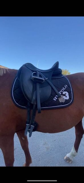 Selle Wintec Isabell Werth Dressage Cair 17,5