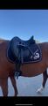 Selle Wintec Isabell Werth Dressage Cair 17,5