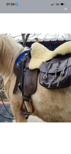 selle western
