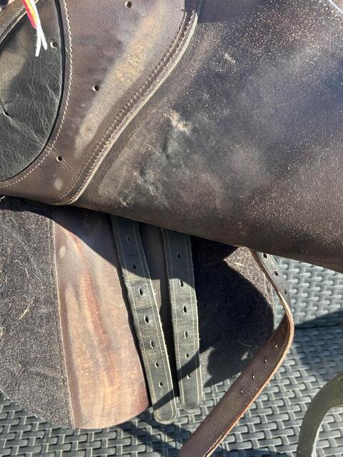 selle TdeT mixte 16.5
