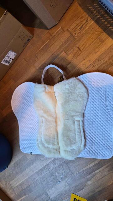 Tapis de selle / blanc / équitation / cheval / amortisseur