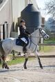Martingale à anneaux Eric Thomas cheval