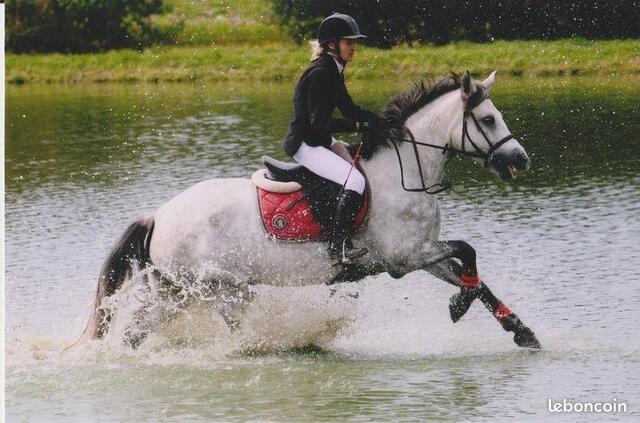 Tapis d'équitation cheval