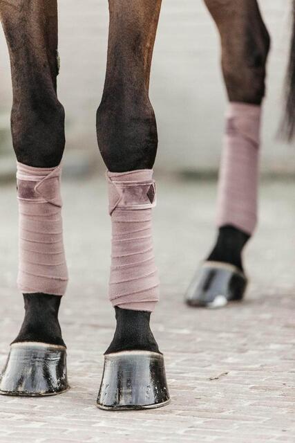 bandes Kentucky rose