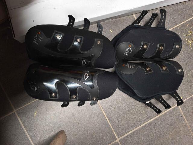 Veredus Piaffe Revo
