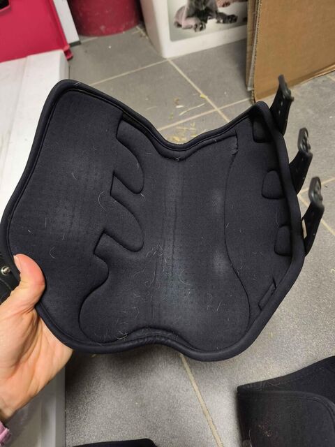 Veredus Piaffe Revo