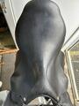 Selle Forestier