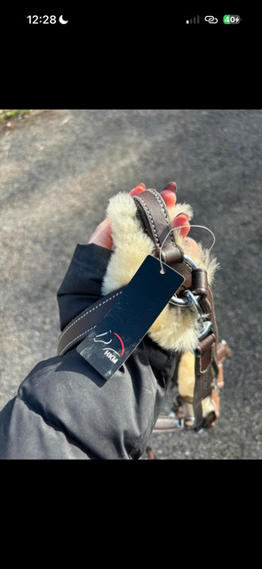 Collier de chasse 5 points