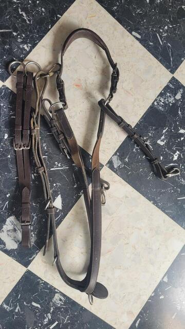 Collier de chasse à pont Dy'on taille cob