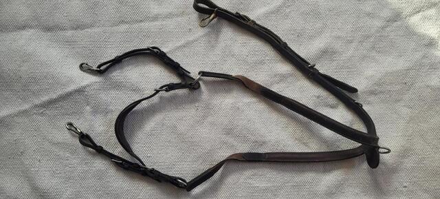 Collier de chasse à pont Dy'on taille cob
