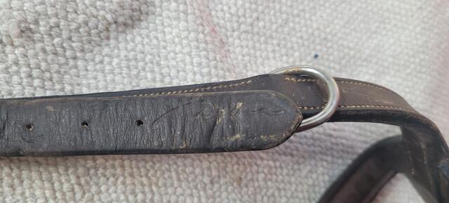 Collier de chasse à pont Dy'on taille cob