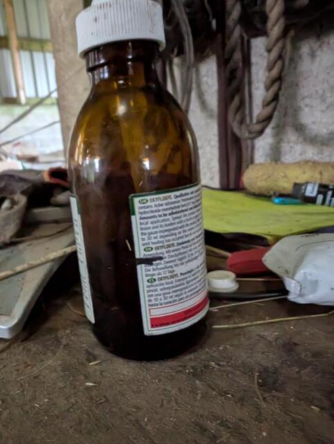 Ekyflogyl