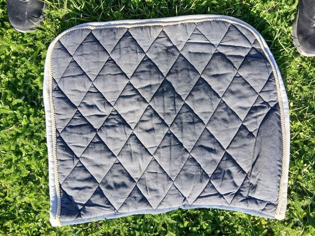 Tapis de dressage