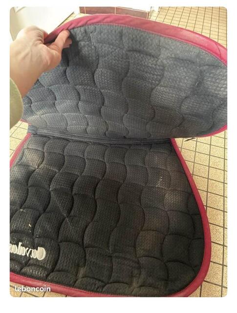 tapis cavalassur