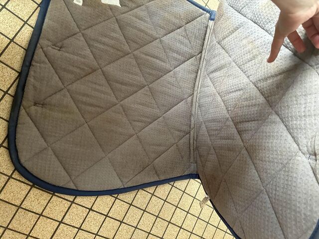 tapis destrier