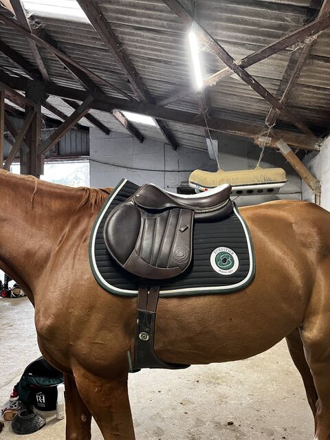 Selle Forestier Séoul 17,5 Quartiers 2A