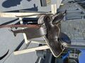 Selle western