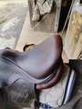 Selle Antarès Monoquartier - 17'