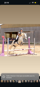 bombe equitheme
