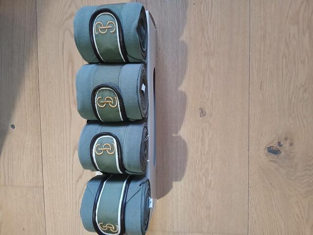 Bandes de polos