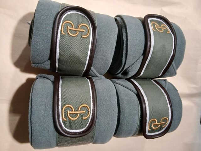 Bandes de polos