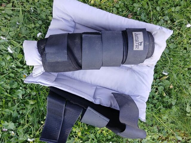 stable boots