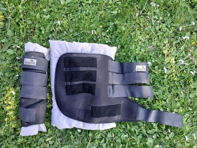 stable boots