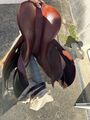 Selle de saut d'obstacle Hermès Cavale