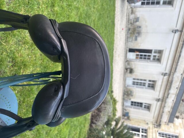 Selle cwd dressage 15,5 pouces