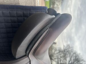 Selle Séoul forestier
