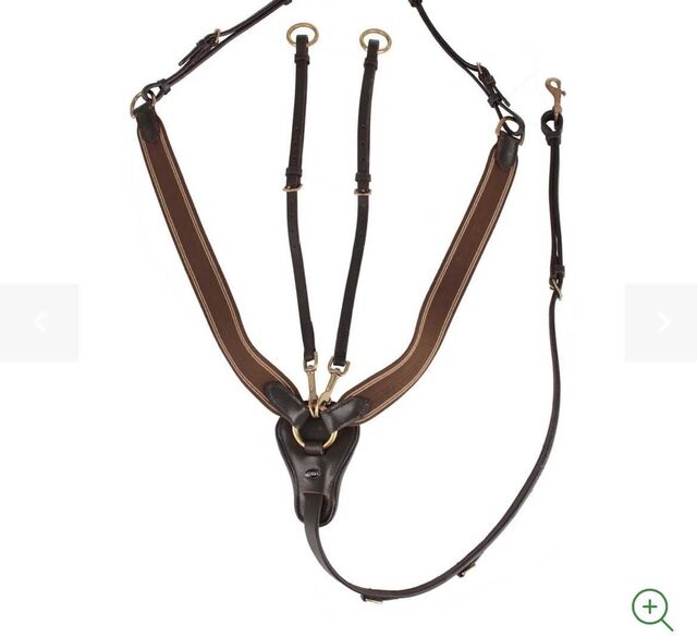collier de chasse avec martingale marron
