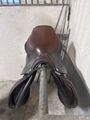Selle CWD