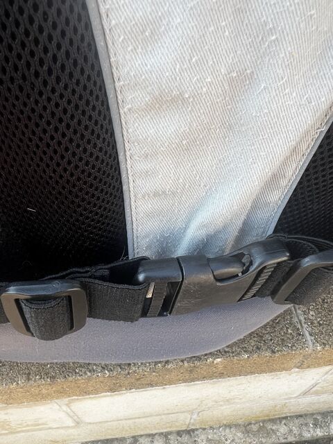 Gilet de Protection / Protège-dos Équitation