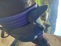 Selle wintec pro dressage