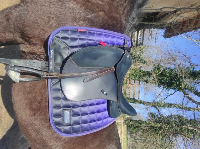 Selle wintec pro dressage