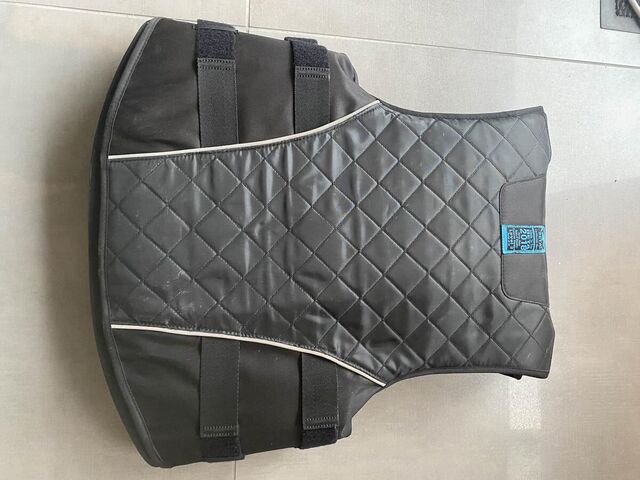 Gilet de cross Equi thème Belt