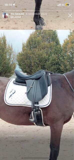 selle de dressage daslo