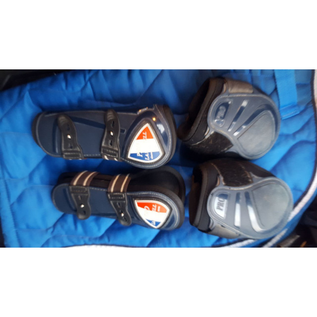 Protection Lamicel poney D