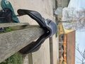 Selle Forestier Boekelo