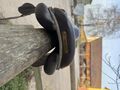 Selle Forestier Boekelo
